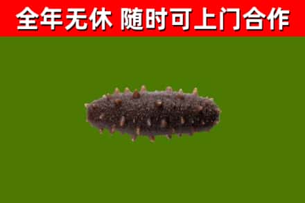 福建省烟酒回收干海参.jpg